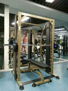 十月健身 您的专业健身伙伴，从器材到私教的一站式解决方案